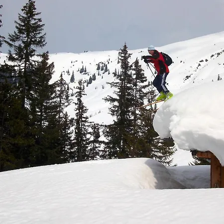 Casa de Férias Skihuette Silberleiten, 14 Personen