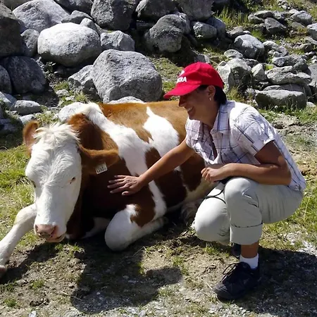 Casa de Férias Skihuette Silberleiten, 14 Personen Krimml