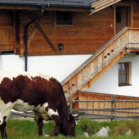 Skihuette Silberleiten, 14 Personen Casa de Férias